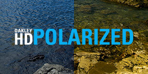 HDPolarized
