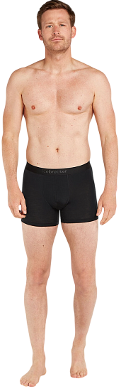 Трусы мужские Icebreaker Merino 125 Cool-Lite Anatomica Boxers Black - Фото 4 большая