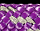 Паракорд Cord 275 Мини 10м световозвращающий Purple - Фото 4 малая
